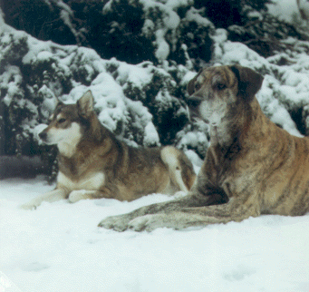 Honi and Fiedler